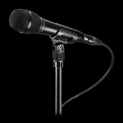 ATS99 Hypercardioid Dynamic Microphone